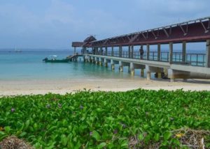 jeti pulau kapas kereta sewa